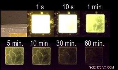 Scientists Achieve Tenfold Boost in Organic Glow-in-the-Dark Materials for Hour-Long Emission
