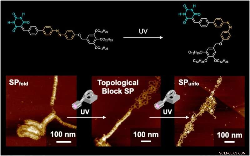 UV-Responsive Polymer: Controlled Folding for Advanced Soft Materials