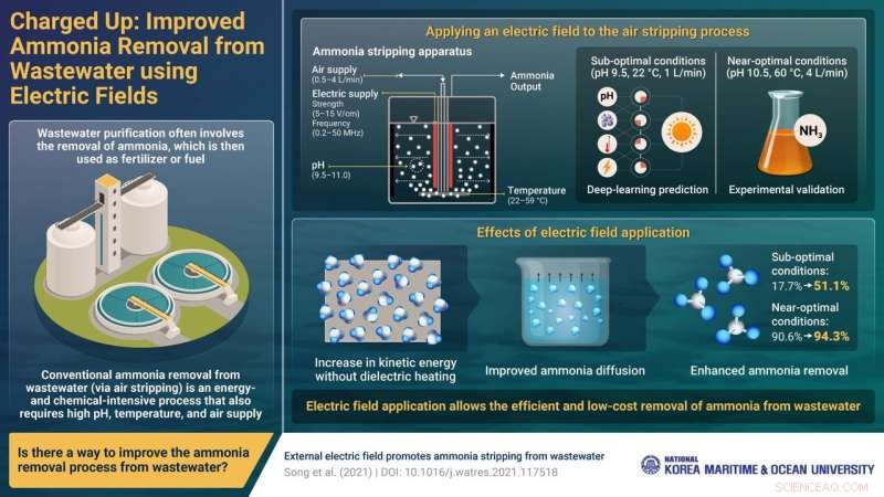 Electric Fields Enhance Ammonia Removal Efficiency in Wastewater Treatment