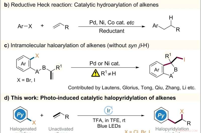 Photoredox Catalysis Enables Efficient Halopyridylation of Alkenes