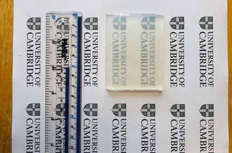 Cambridge University s 80% Water Jelly Survives Car Impact and Recovers Instantly