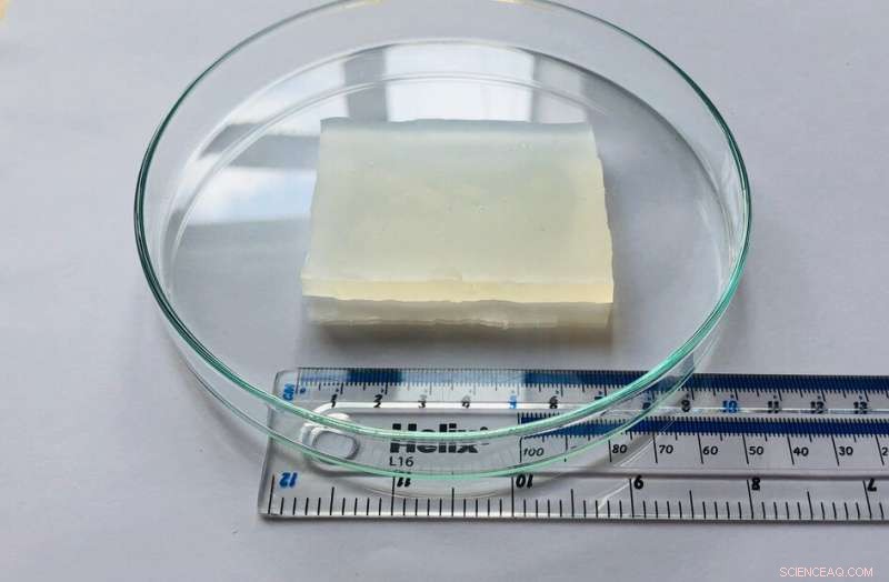 Cambridge University s 80% Water Jelly Survives Car Impact and Recovers Instantly