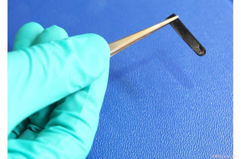 Innovative Lignin-Based Material: Sustainable Replacement for Fossil Plastics and Adhesives