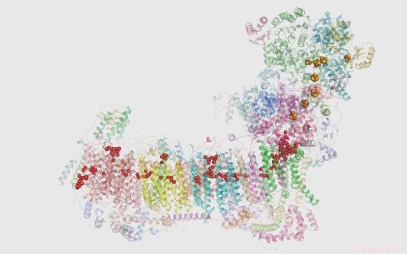 Atomistic Simulations Reveal Novel Molecular Valves in Mitochondrial Complex I