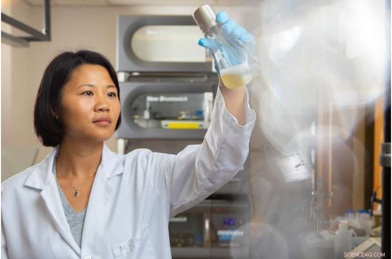 Engineered Bacteria Convert Sugar into Sustainable Fuel for Vehicles