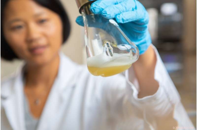Engineered Bacteria Convert Sugar into Sustainable Fuel for Vehicles