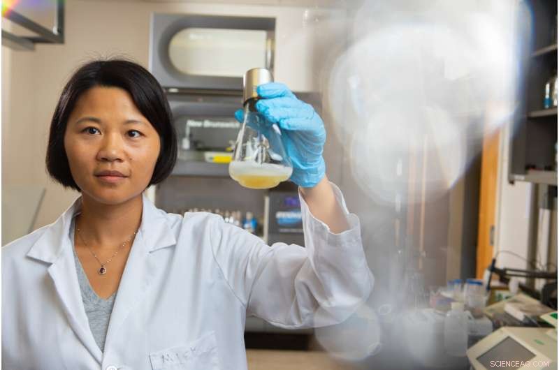 Engineered Bacteria Convert Sugar into Sustainable Fuel for Vehicles