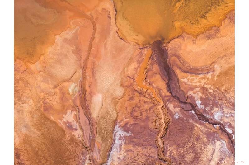 Engineered Bacteria Enable Sustainable Rare Earth Extraction for Tech