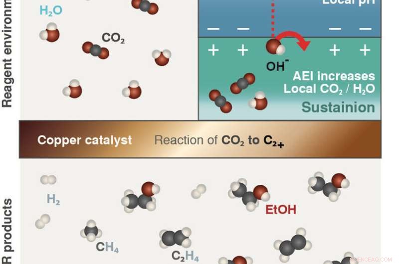 Innovative Dual-Ionomer Coating Boosts CO2 Conversion to Liquid Fuels