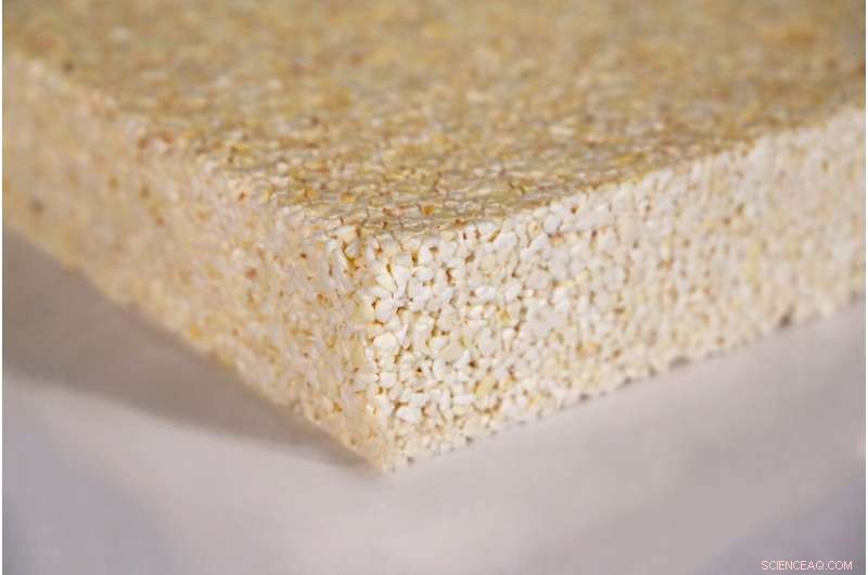 Sustainable Popcorn Insulation: University of Göttingen s Technology Licensed to Bachl Group