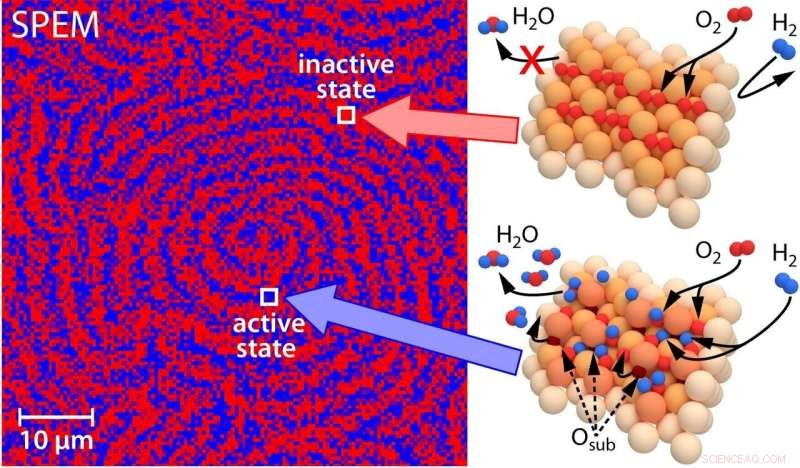 Rhodium Catalyst Surface State Revealed in Oscillatory Hydrogen Oxidation Study