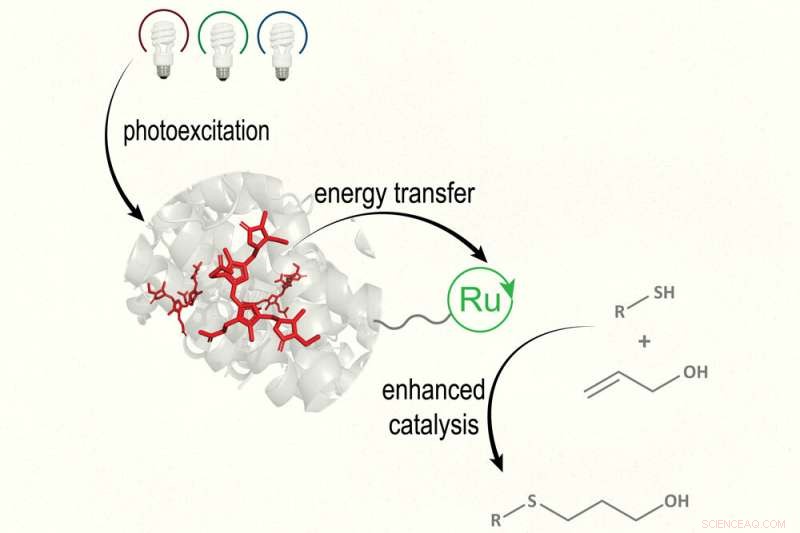 MIT s Light-Driven Catalyst Mimics Photosynthesis for Efficient Chemical Reactions