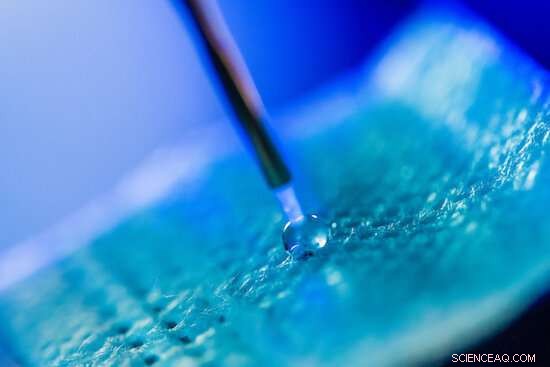 Rice University Study Reveals Safe Heat Decontamination Methods for Disposable Surgical Masks