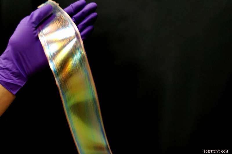 Sustainable Fruit-Derived Glitter: Biodegradable, Vegan, and Eco-Friendly