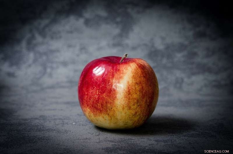 Optimize Apple Chip Moisture Analysis with Near-Infrared Spectroscopy