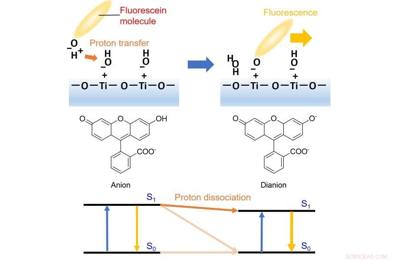 Femtosecond Laser Reveals Proton Transfer from Dye to Titania Surface for Photocatalysis