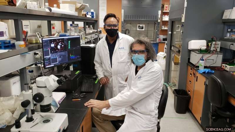 Innovative Polymer-Coated Nanoparticles Boost Brain Drug Delivery for Alzheimer s and Parkinson s Treatment