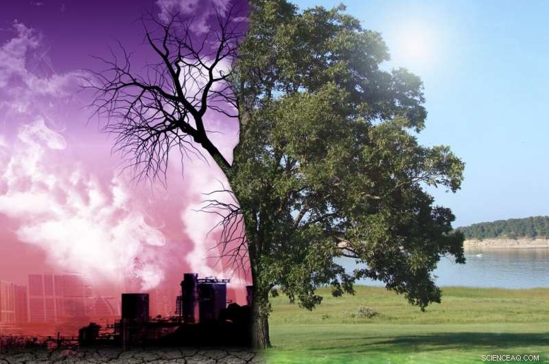 Coal-Based Solar Technology Offers Affordable Clean Water Solution