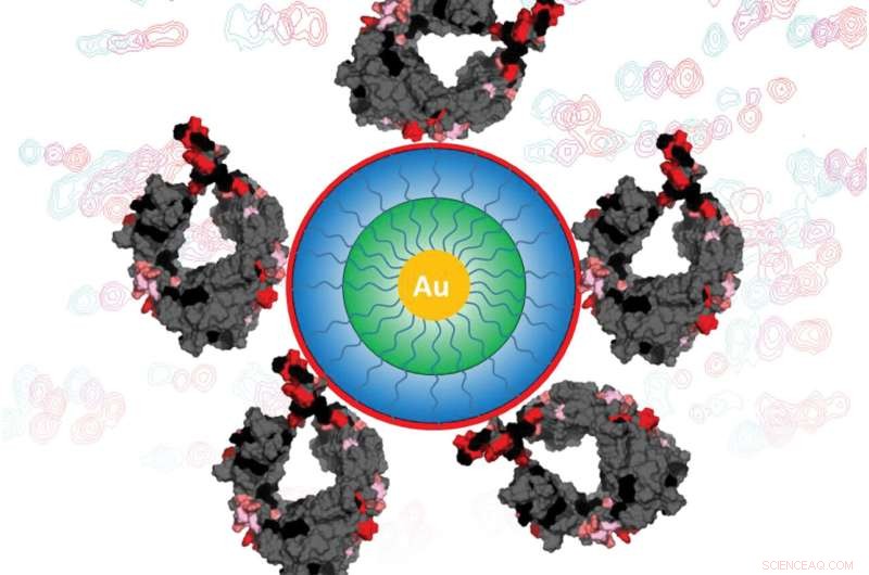 Revolutionizing Drug Purification: Insights from Unexamined Molecular Interactions