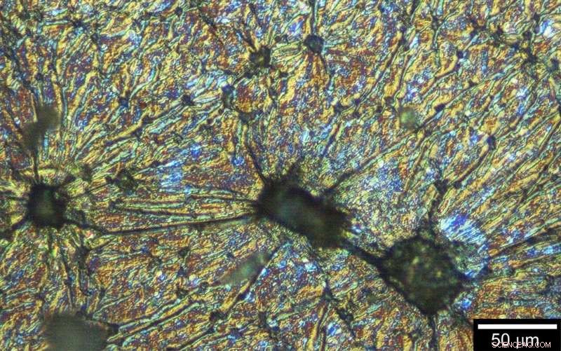 Harnessing Virus Particles for Chiral Magnetic Polymer Templates via Self-Assembly