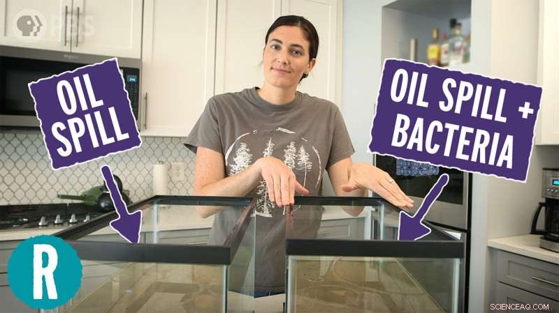 How Bacteria Could Clean Oil Spills and Radioactive Waste: A Video Experiment