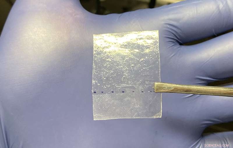 Breakthrough Film Safely Contains Lead in Damaged Perovskite Solar Cells
