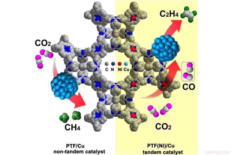 Highly Selective Tandem Electrocatalysis for CO2-to-Ethylene Conversion Using Nickel Single Atoms and Copper Nanoparticles