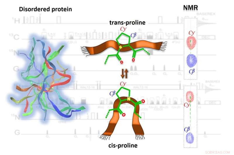 Advanced Protein Analysis Method Enhances Insights into Cancer and Neurodegenerative Diseases