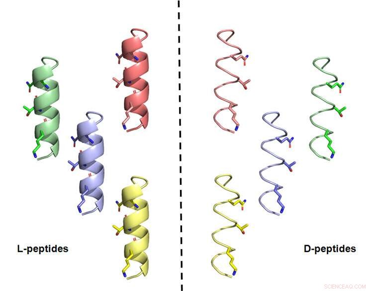 University of Toronto Scientists Engineer Mirror-Image Peptides to Neutralize SARS-CoV-2 and Variants