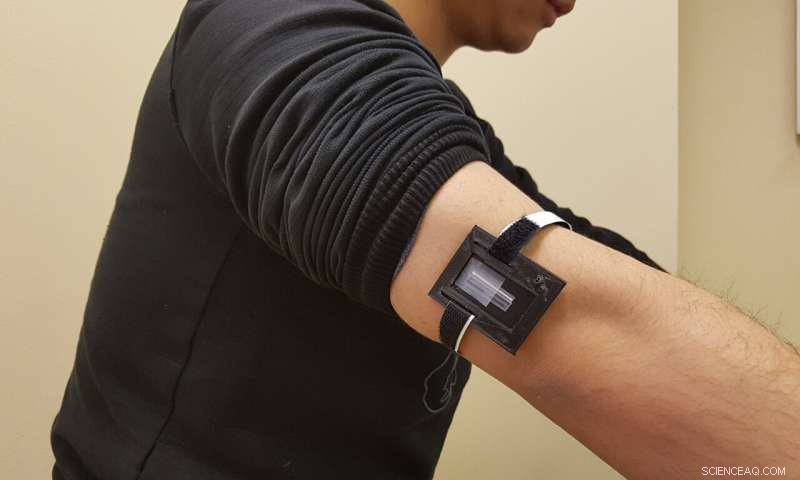Beyond the Hype: Swedish Scientists Test Lactate Sensors for Sports Physiology