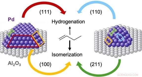 Tunable Catalysis: How Particle Size Controls Reaction Selectivity in Palladium Nanocrystals