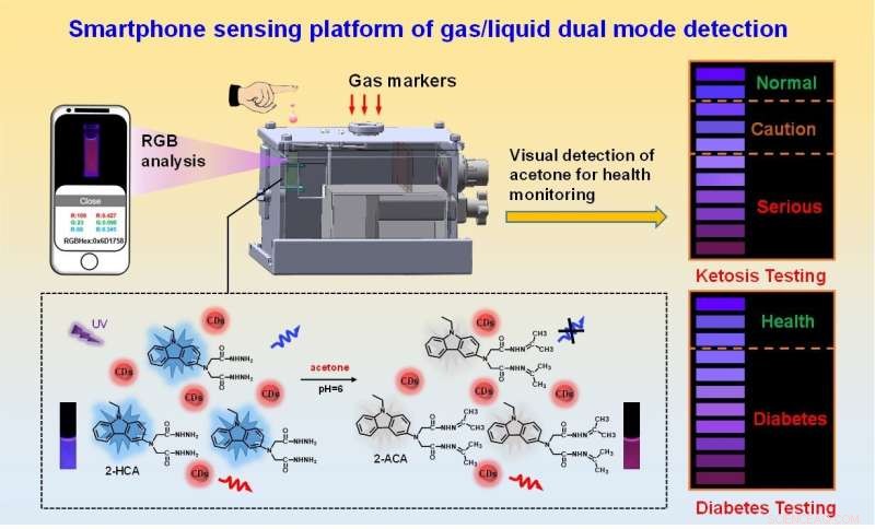 Advanced Smartphone Fluorescence Sensor Platform for Early Detection of Lung Cancer and Metabolic Disorders