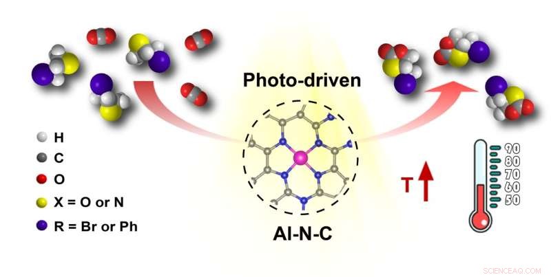 Advanced Carbon Catalyst for Efficient Photocatalytic CO2 Cycloaddition Using Solar Energy