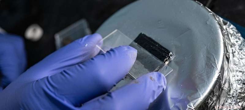 Rice University Engineers Innovate Flexible, Self-Healing Coating to Protect Steel from Corrosion