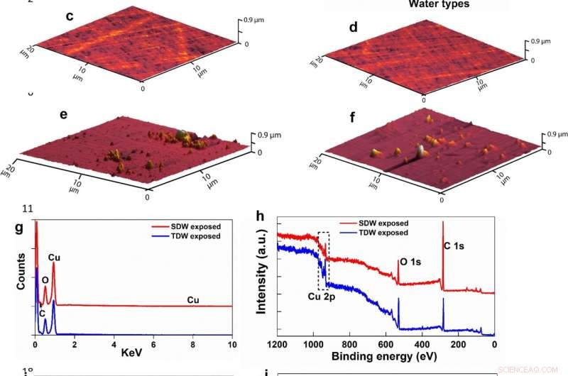 New Study Reveals Tap Water s Protective Effect Against Microplastic Release
