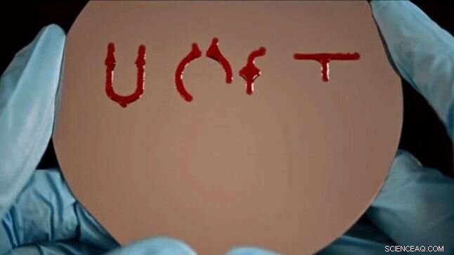 Biomimetic Coatings Revolutionize Microfluidics for Medical Diagnostics