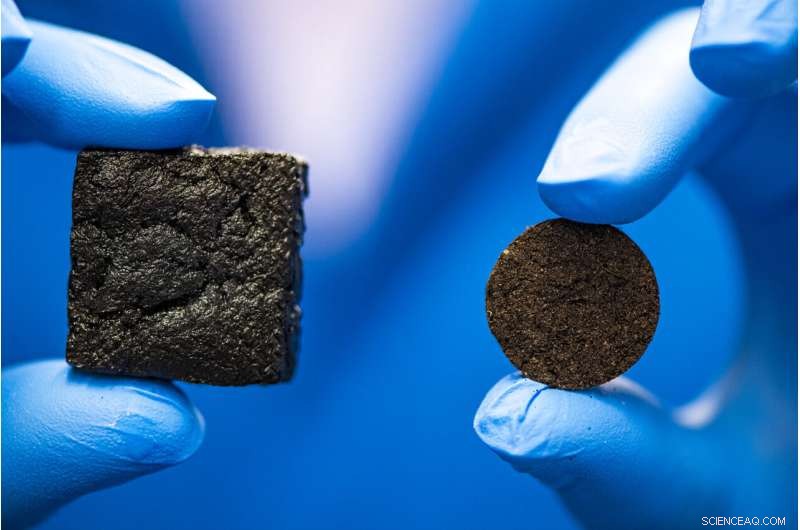 Cow Manure Desalination Filters: An Innovative Solution to Global Water Scarcity