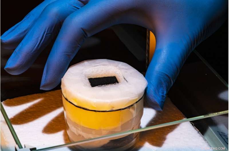 Cow Manure Desalination Filters: An Innovative Solution to Global Water Scarcity