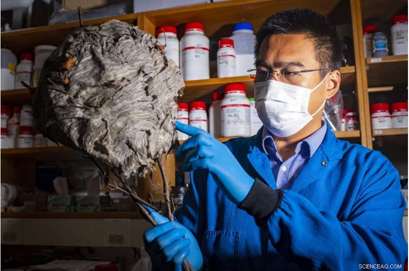 Cow Manure Desalination Filters: An Innovative Solution to Global Water Scarcity