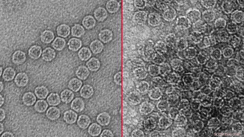 Texas A&M Study Validates Electrocoagulation for Effective Removal of Waterborne Viruses