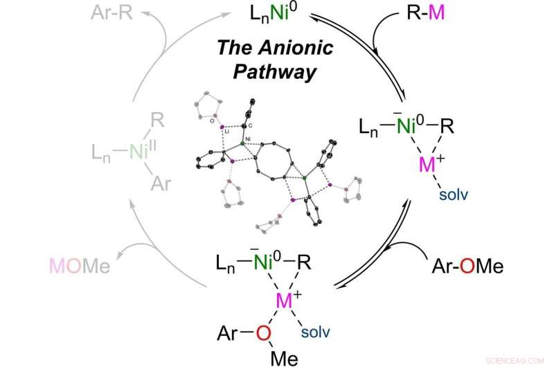 Nickel Catalyst Breakthrough: Cross-Coupling of Aromatic Ethers via Nickelate Anion Mechanism