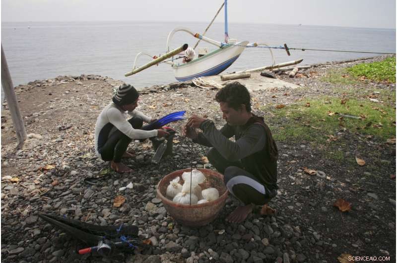 The Global Aquarium Trade: Murky Methods Behind Sparkling Fish