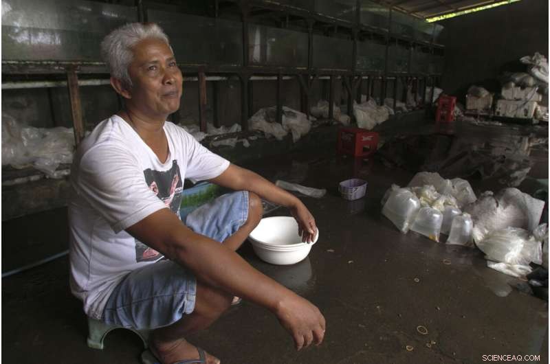 The Global Aquarium Trade: Murky Methods Behind Sparkling Fish