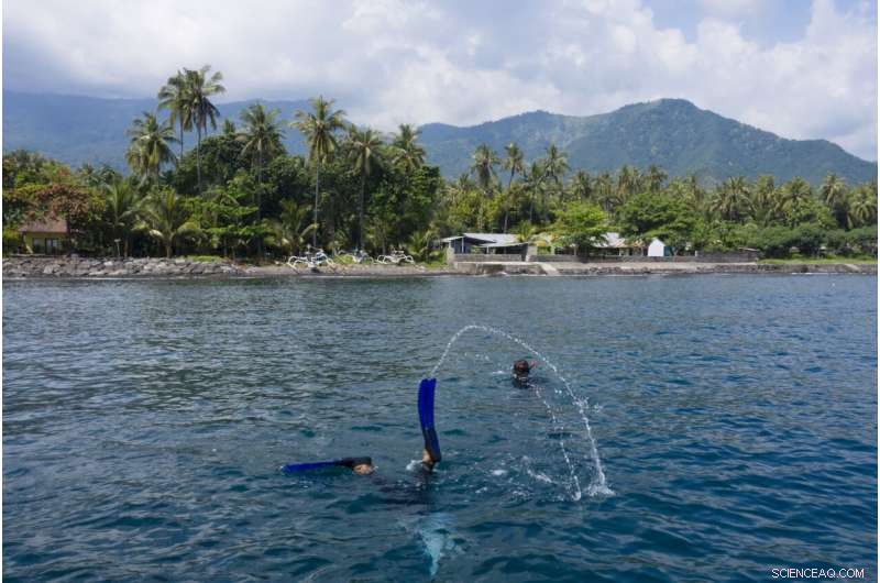 The Global Aquarium Trade: Murky Methods Behind Sparkling Fish