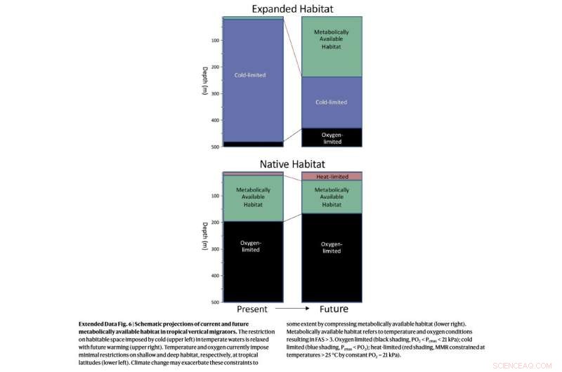 Study: Ocean Warming Likely to Shrink Habitats for Most Marine Animals, With Notable Exceptions
