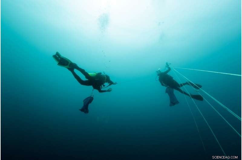 Study: Ocean Warming Likely to Shrink Habitats for Most Marine Animals, With Notable Exceptions