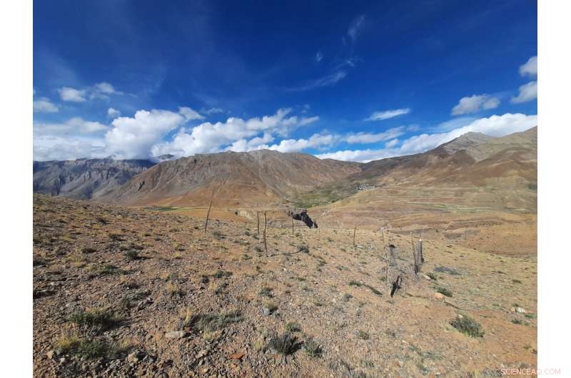Spiti Study: Yak and Ibex Vital for Long-Term Soil Carbon Stability in Himalayan Deserts