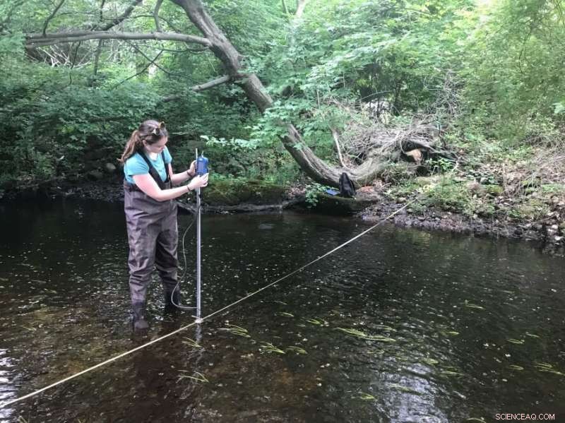 Alewife Migration Crisis: How Dams, Drought, and Climate Change Threaten Connecticut s Rivers