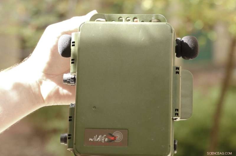 AI Model Revolutionizes Quail Population Monitoring for Wildlife Managers