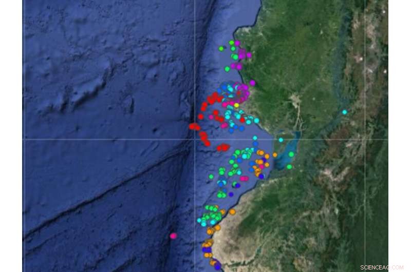Researchers Tag Humpback Whales with Satellites to Study Climate Impacts on Migration in Ecuador